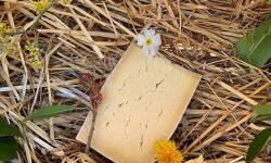 FermOgout - Part de Saint Fuscien affiné 5 mois minimum - 250g