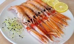 La Criée d'à Côté - Langoustines Cuites - 1kg
