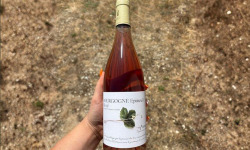 Domaine Céline Coté - Bourgogne Epineuil Rosé 2025