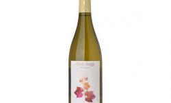 Domaine Céline Coté - Blanc sur Rouge