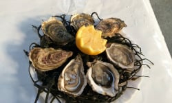 Les Huîtres Chaumard - Huîtres de Paimpol  N°4 - bourriche de  50 pièces (4 douzaines)