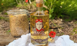 Alcools Vivant - Eau-de-vie de Malt Ange Bio 70cl
