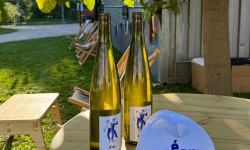 Pépin - Vin blanc Riesling Pépin 75clx6