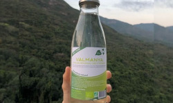 Abies Lagrimus - Sève de Bouleau Bio des Pyrénées - Valmanya 75cl