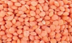 L'OLIVERAIE DU COUDON - Lentilles corail 300 GR SEC