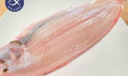 La Criée d'à Côté - Soles | Lot 1 kg