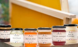 Apisphère - Assortiment des miels du Périgord