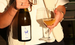 Pépin - Vin Petnat Pépin 75clx6