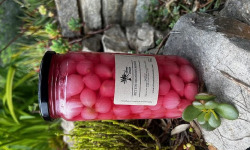 L'OLIVERAIE DU COUDON - PETITS OIGNONS ROSES AU VINAIGRE 290GR / 314ML
