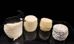 Ferme les Avoineries - Petits chèvres variés x8