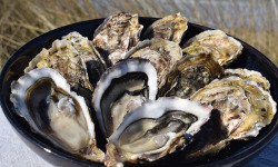 Huître de Normandie - Huîtres Fines No.3 de Normandie, LAFOSSE - 12 Pièces - Saveur spécifique Côte-Ouest de la Manche