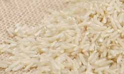 L'OLIVERAIE DU COUDON - Riz long blanc de Camargue IGP BIO  500GR SEC