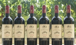 Domaine la Paganie - Vin rouge de Cahors élevé en fût – L’Origine 2020 – 6 bouteilles