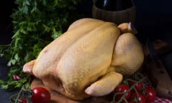 EARL Plumes et Laines - thanksgiving/Noel Dinde 4.5 kg