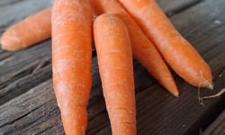 Les Jardins de Gérard - Carotte lavée Bio - 3 kg