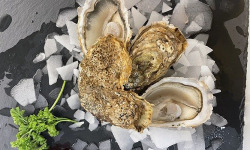 Notre poisson - Huîtres N°3 spéciale d'Isigny sur Mer - 3kg