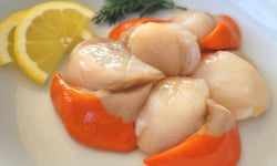 La Criée d'à Côté - Noix de Saint Jacques Coraillées - 1kg
