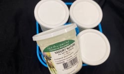 Ferme les Avoineries - Yaourts de chèvre nature x4