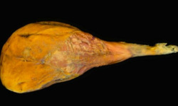Maison DEHESA - Jambon Serrano Bodega désossé