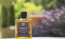 Moulin à huile Bastide du Laval - Huile D'olive Vierge Extra BIO Ardence - 20 Cl