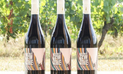 Domaine la Paganie - Vin Rouge bio - Malbec New Wave - 3 bouteille