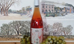 Cave Creuzet - Les Caves aux Caux - VSIG Rosé demi-sec "Calice" - Lot de 6