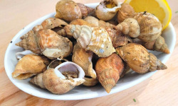 La Criée d'à Côté - Bulots Cuits - 3 kg