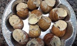 Kerhelix - Coquilles escargots noix poivre de Sichuan x12