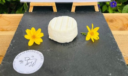 SCEA Brebis du Berry - Le Palais, fromage de brebis 90g