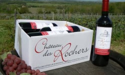 Château des Rochers - Vin rouge AOC Castillon-côte de Bordeaux 2019 X6
