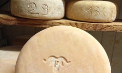 La ferme Lassalle - Fromage de Brebis AOP Ossau-Iraty Fermier de Printemps - le quart de 1kg - 6 mois
