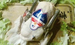 Ferme Tradi-Bresse - Poulet de Bresse AOP 1,5 kg Prêt à Cuire sans tête sans pattes