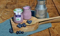 La Ferme des Délices - Yaourt brassé BIO - Myrtille 2 x 140g