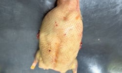 Ferme de Pleinefage - Canard entier sans foie à la pièce - Lot de 6 - ATTENTION DEPART UNIQUEMENT LE JEUDI