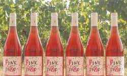 Domaine la Paganie - Vin Rosé Bio - Pink Is Not Dead 2023 - 6 bouteilles