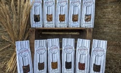 Des pâtes Briardes épi c'est tout ! - Lot découverte "pâtes aromatisées" - 11 variétés (12 paquets)