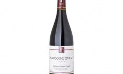 Domaine Céline Coté - Bourgogne Epineuil Les Dannots 2022
