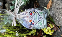L'OLIVERAIE DU COUDON - SACHET BONBON SAVEURS DES VERGERS 150G