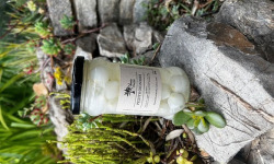 L'OLIVERAIE DU COUDON - PETITS OIGNONS BLANC AU VINAIGRE 290GR / 314ML