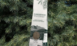 Abies Lagrimus - Tisane Thym FLORESSENCIA - 100g