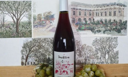 Cave Creuzet - Les Caves aux Caux - AOC Coteaux du Vendômois Rouge "Tradition" 2024 - Lot de 6