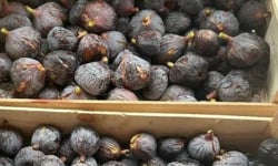 L'OLIVERAIE DU COUDON - [Précommande] FIGUES DE SOLLIES POUR CONFITURE  15KG (bien lire la description)