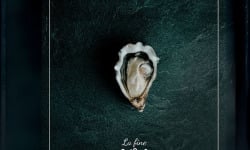 Huîtres Poget - Huîtres La Fine du Galon d'Or n°4 x48