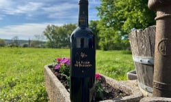 Domaine du Buisson - Vin rouge AOP Bordeaux supérieur - 2022 - élevé en barriques - 3x75cl