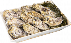 Les Huîtres Chaumard - Huîtres De Paimpol  - 5 Douzaines De 2 (60 Huîtres)