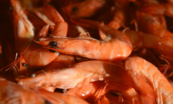 Thalassa Tradition - Crevettes Tropicales roses 30/50 2kg