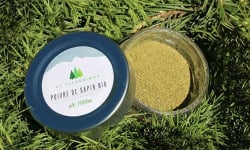 Abies Lagrimus - Poivre de Sapin Bio - 16g