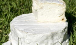 La Vache Charentaise - Lot de 4 Le Petit Réortais 4x350g