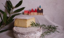 Boutique Boisette - IGP tomme de Savoie 500g