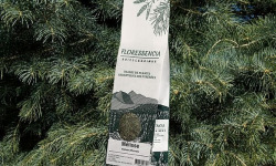 Abies Lagrimus - Tisane Mélisse FLORESSENCIA - 50g